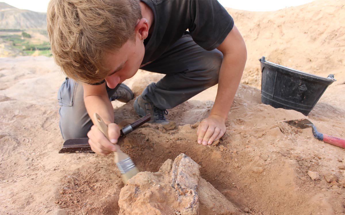 Excavación de una espada de hierro en Bursau