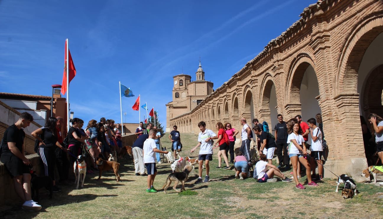 Inaugurado el Parque Canino de Cascante 3