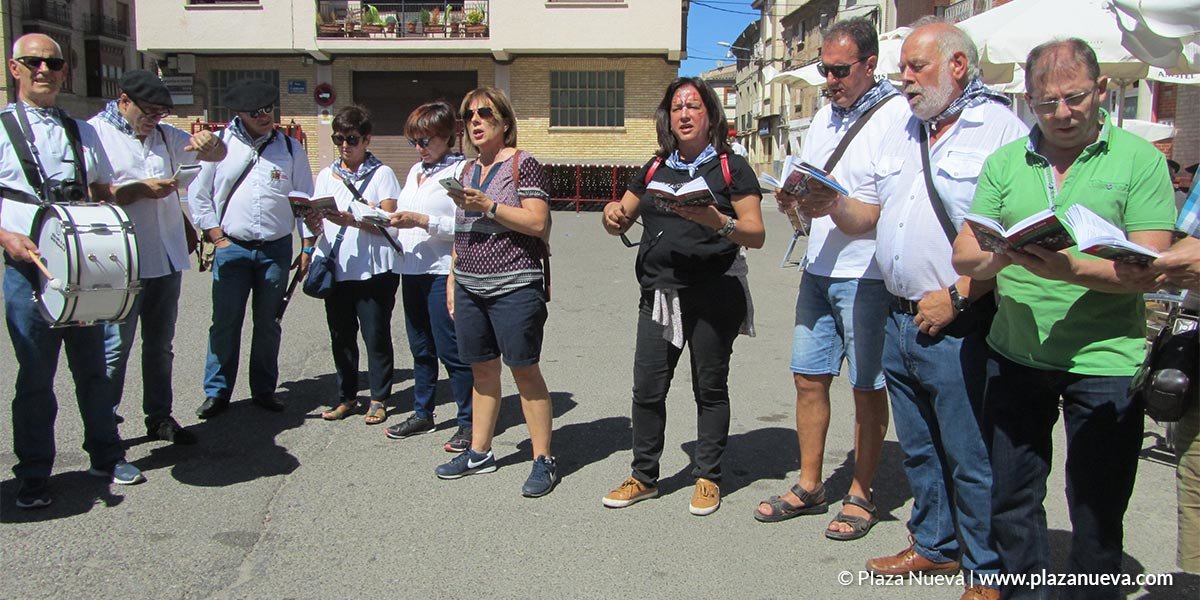 8 Euskararen Eguna en Villafranca 2 1227
