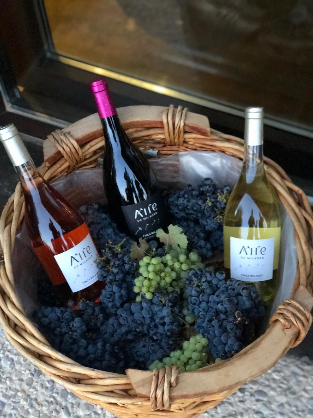 La familia Vivanco presenta Finca Milagro 5