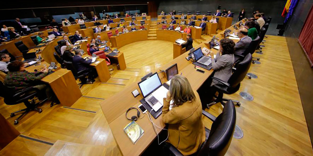 Parlamento de Navarra 2