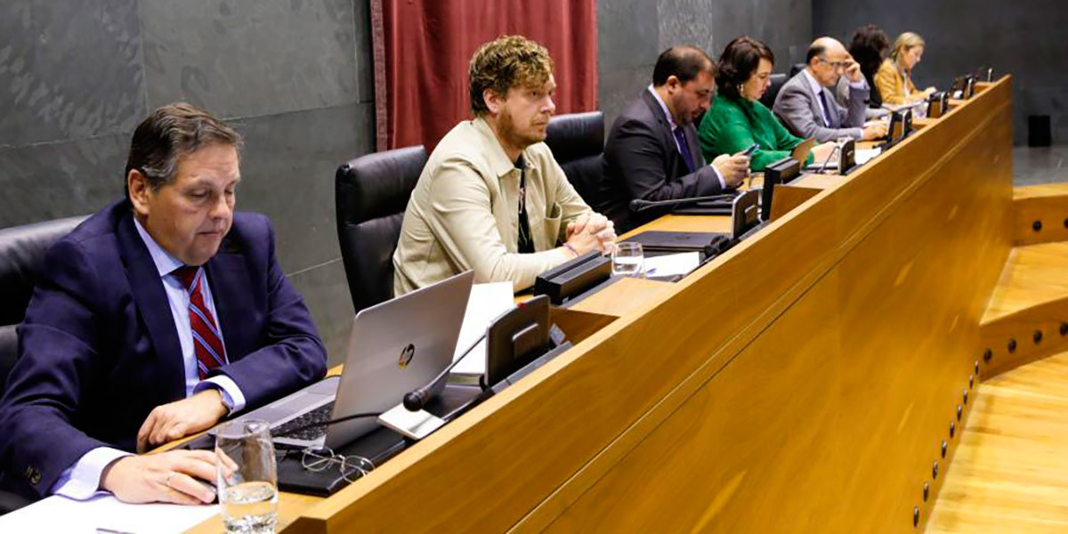 Parlamento de Navarra 8