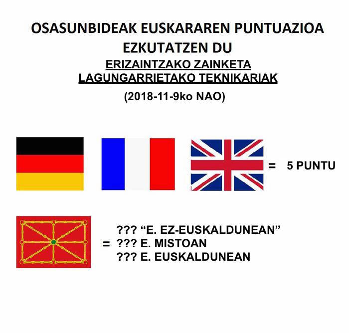 2018-11-12, euskararen balorazioa Osasunbidean.