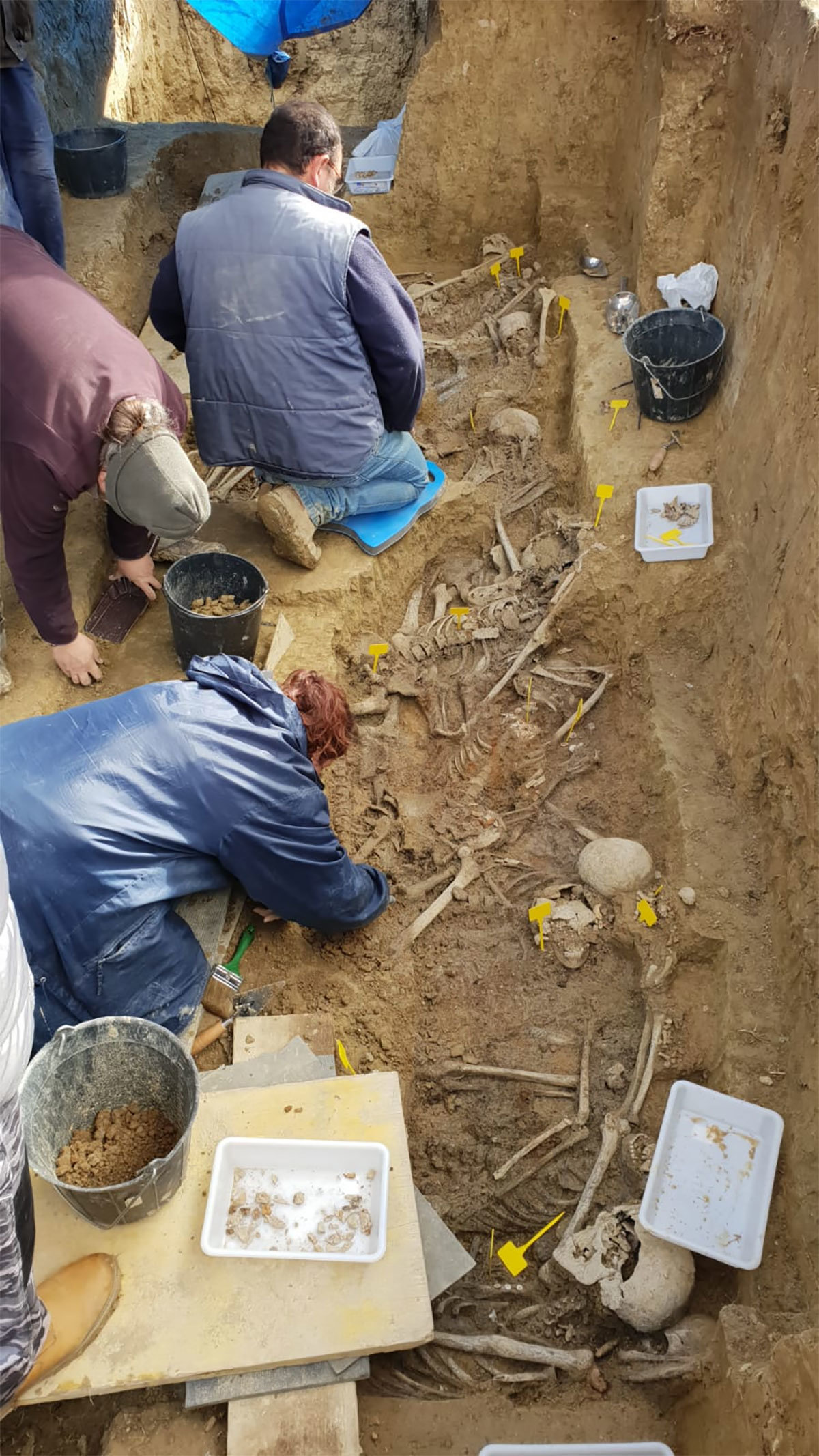 Los trabajos se están llevando a cabo en el cementerio de Sádaba 1