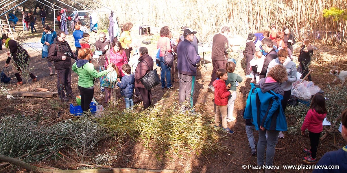 Acciones de Mascotas verdes, plantación de árboles y fuente de la salud 2