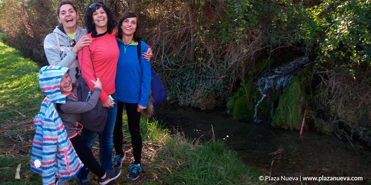 Acciones de Mascotas verdes, plantación de árboles y fuente de la salud 3