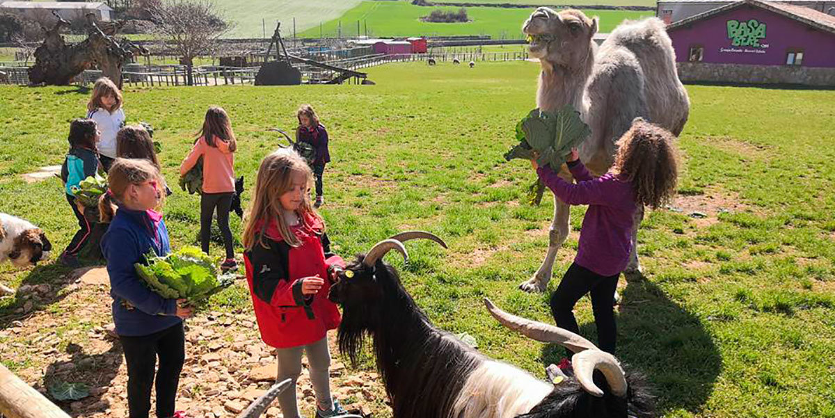 Los niños podrán disfrutar de la cercanía con los animales y la naturaleza
