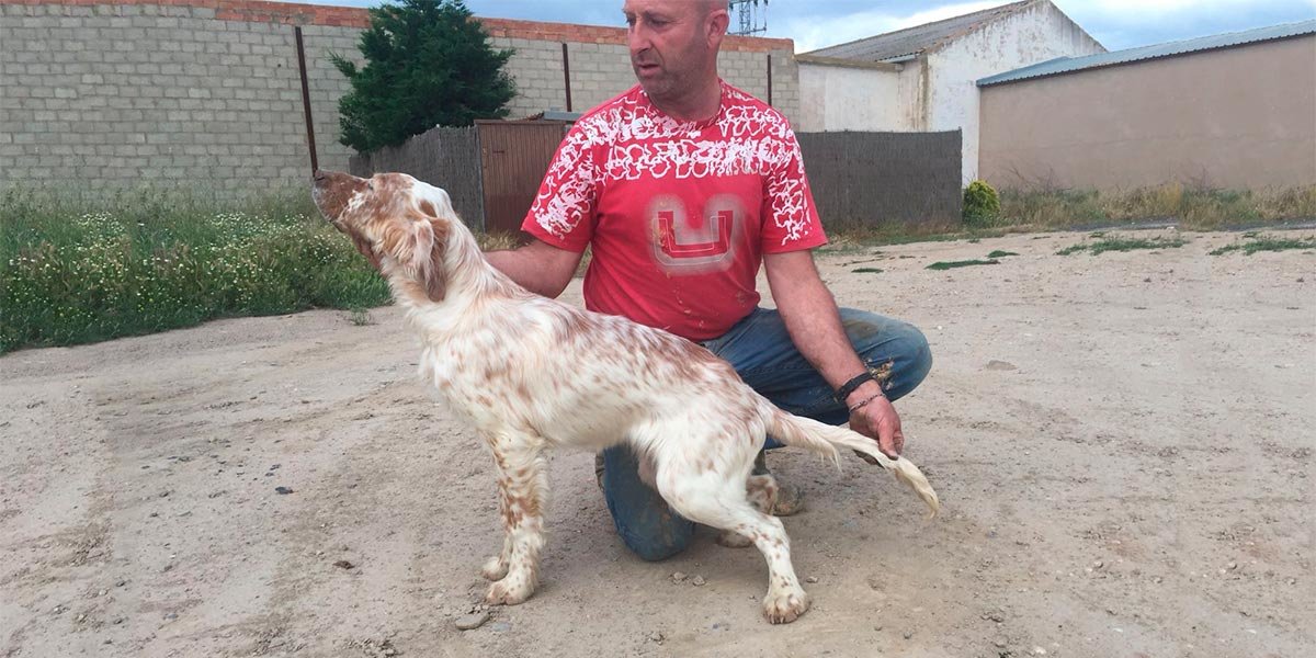 Ejemplares de Sergio Jiménez Verano, Pinzán 4