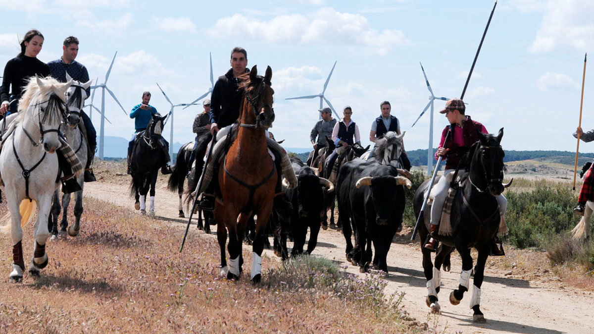 Caparroso-Celebra-el-Día-de-la-Trashumancia-Jinetes