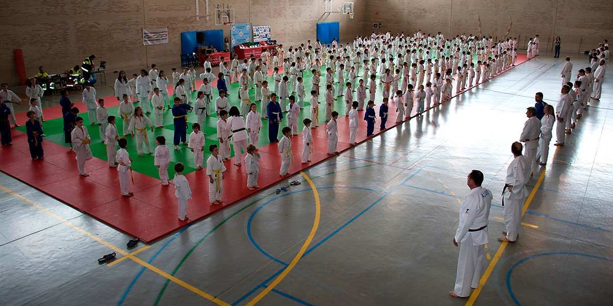 Shogun en la jornada de juegos infantiles de judo2