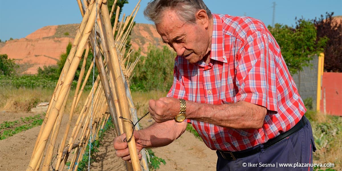Pablo Miranda Melero, Hortelano Popular 2019, en su huerto