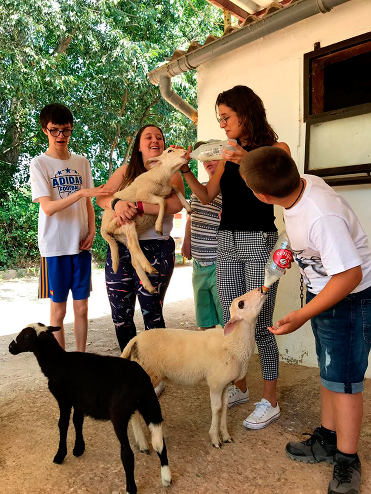 AMIMET campamento inclusivo 2