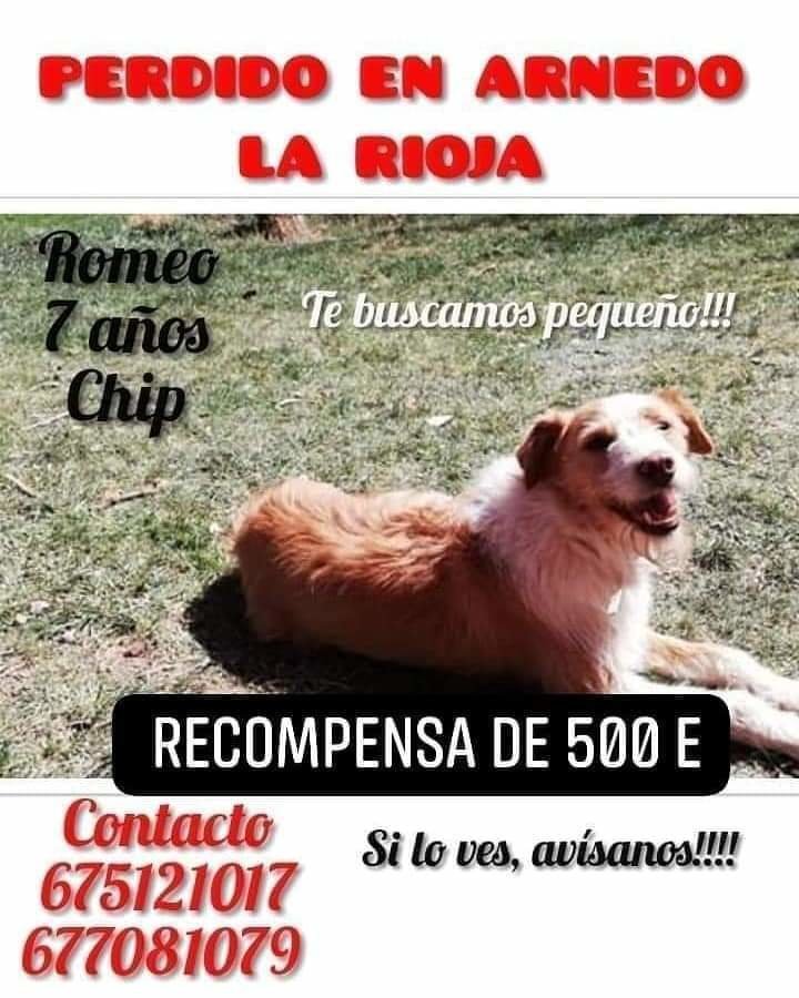 Se busca a Romeo