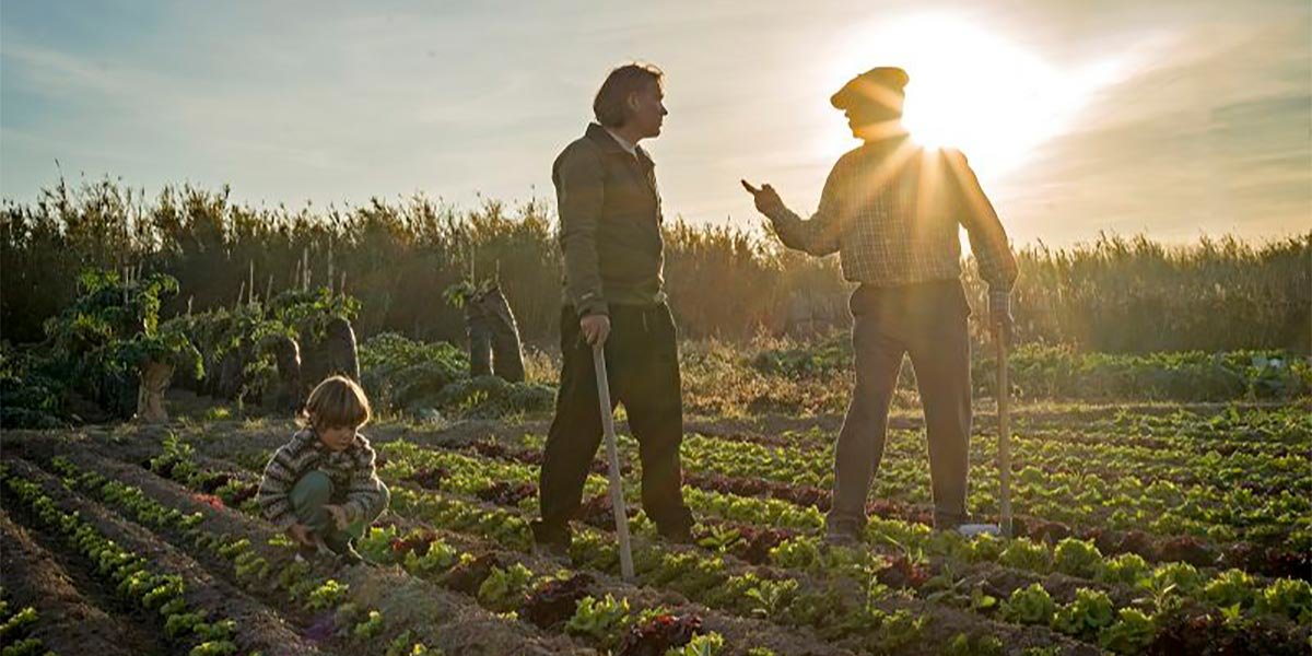 Los Últimos de la Mejana, trabajando en la Mejana