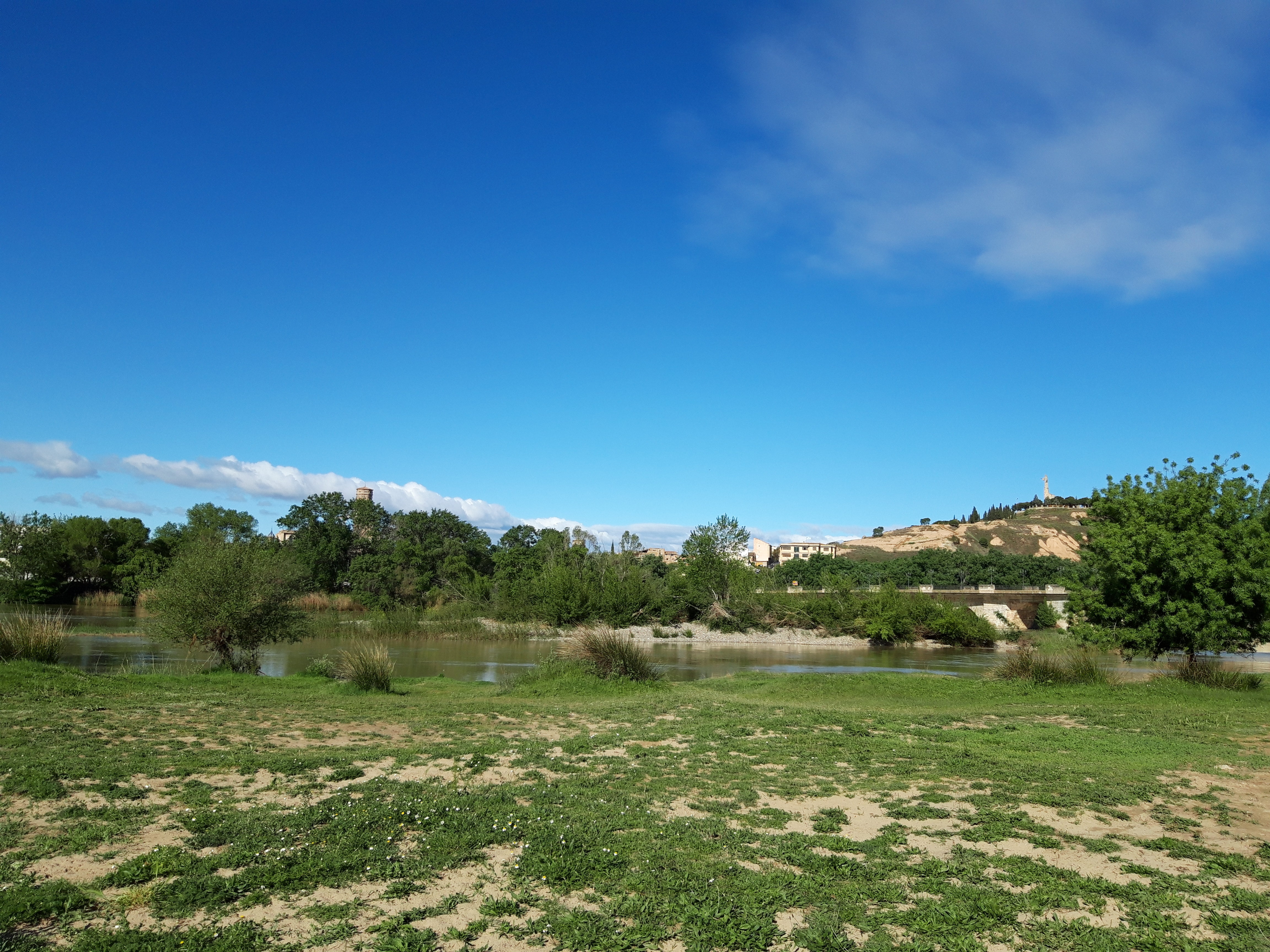 Puente de Tudela desde la Mejana