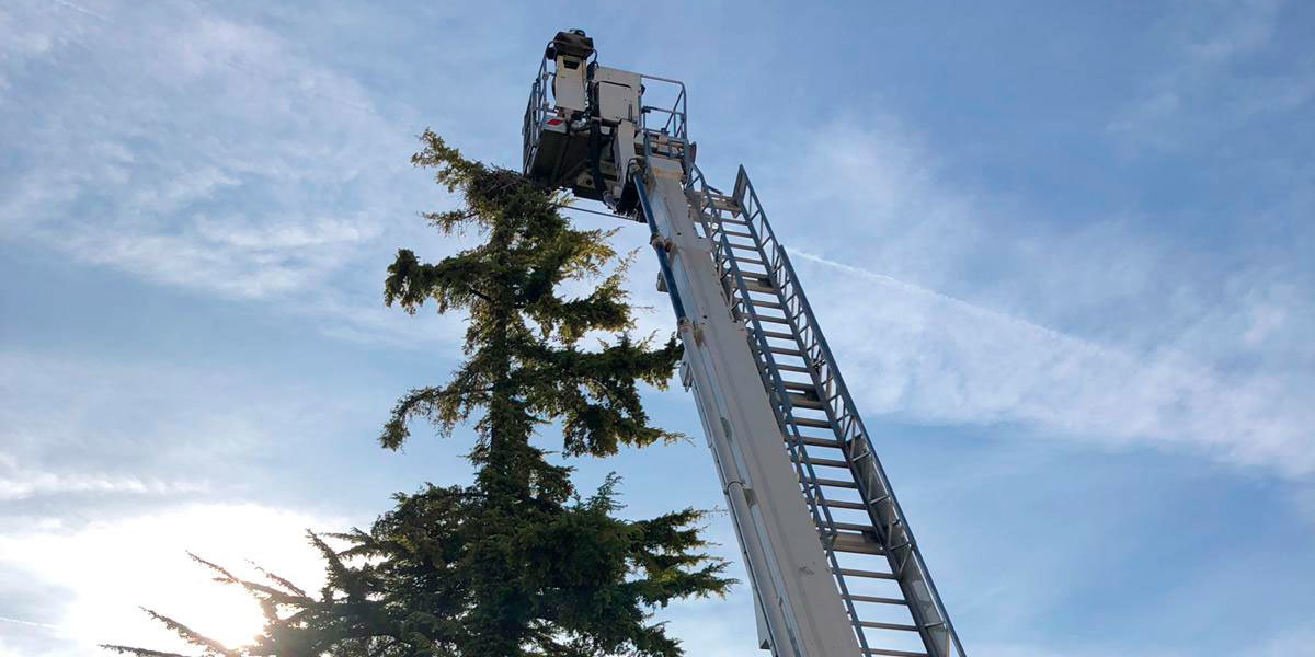 Retirada en Tarazona de un nido de cigüeñas
