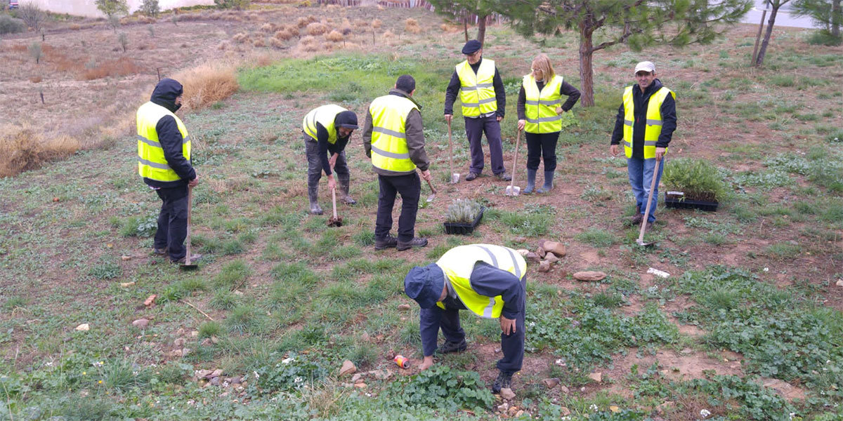 Reforestación de la Asociación Muérdago 1