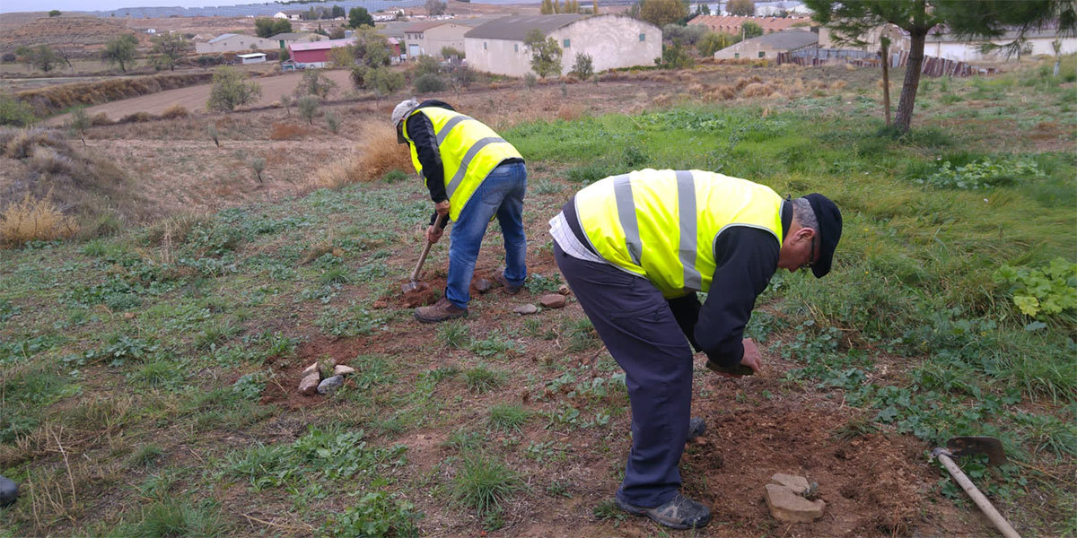 Reforestación de la Asociación Muérdago 2