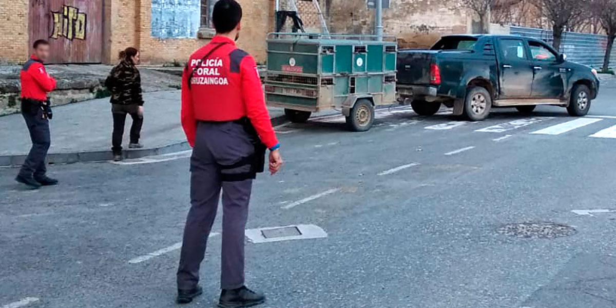 Los perros estaban en el remolque del vehículo 1