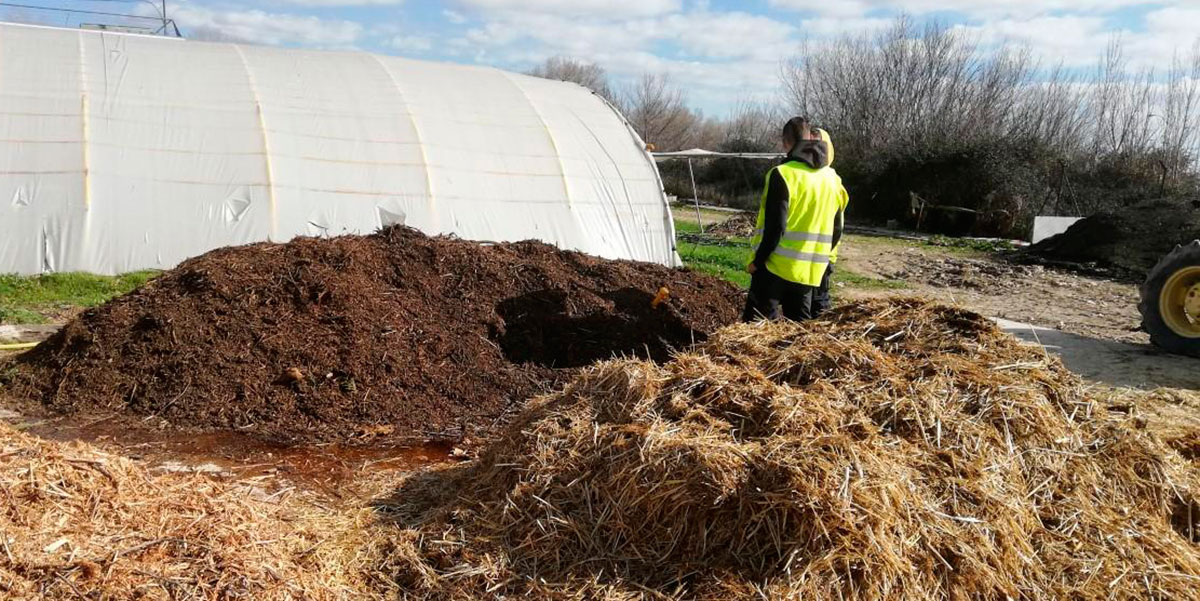 Los alumnos de la Escuela Agraria de Peralta aprenden a construir y gestionar una planta de compostaje 4