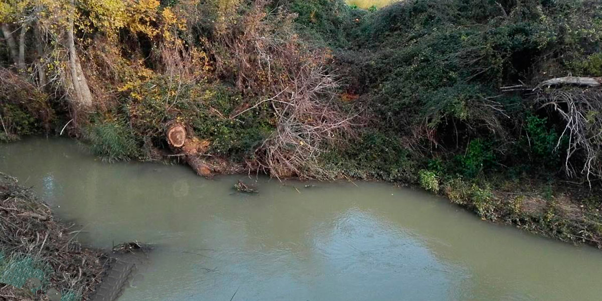 Río Zidacos a su paso por Olite