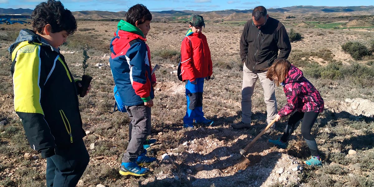 Reforestación en Tarazona