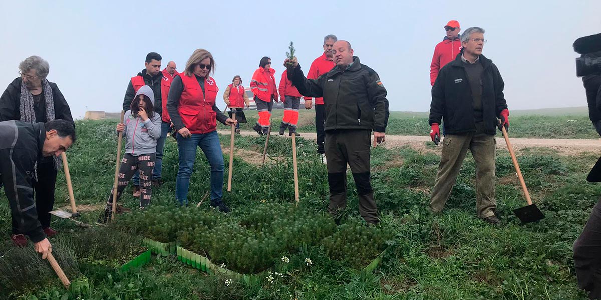 Reforestación en Tauste