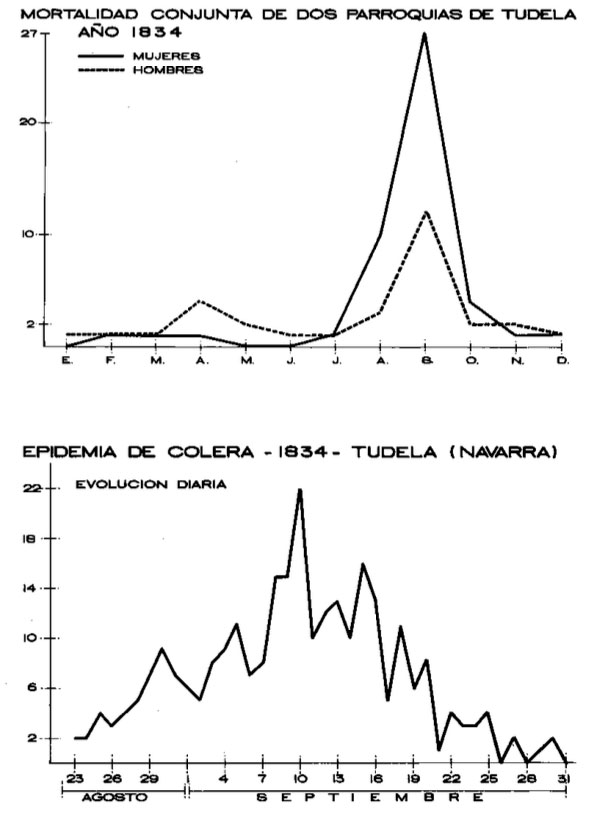 Mortalidad por sexos y la evolución diaria de la mortalidad