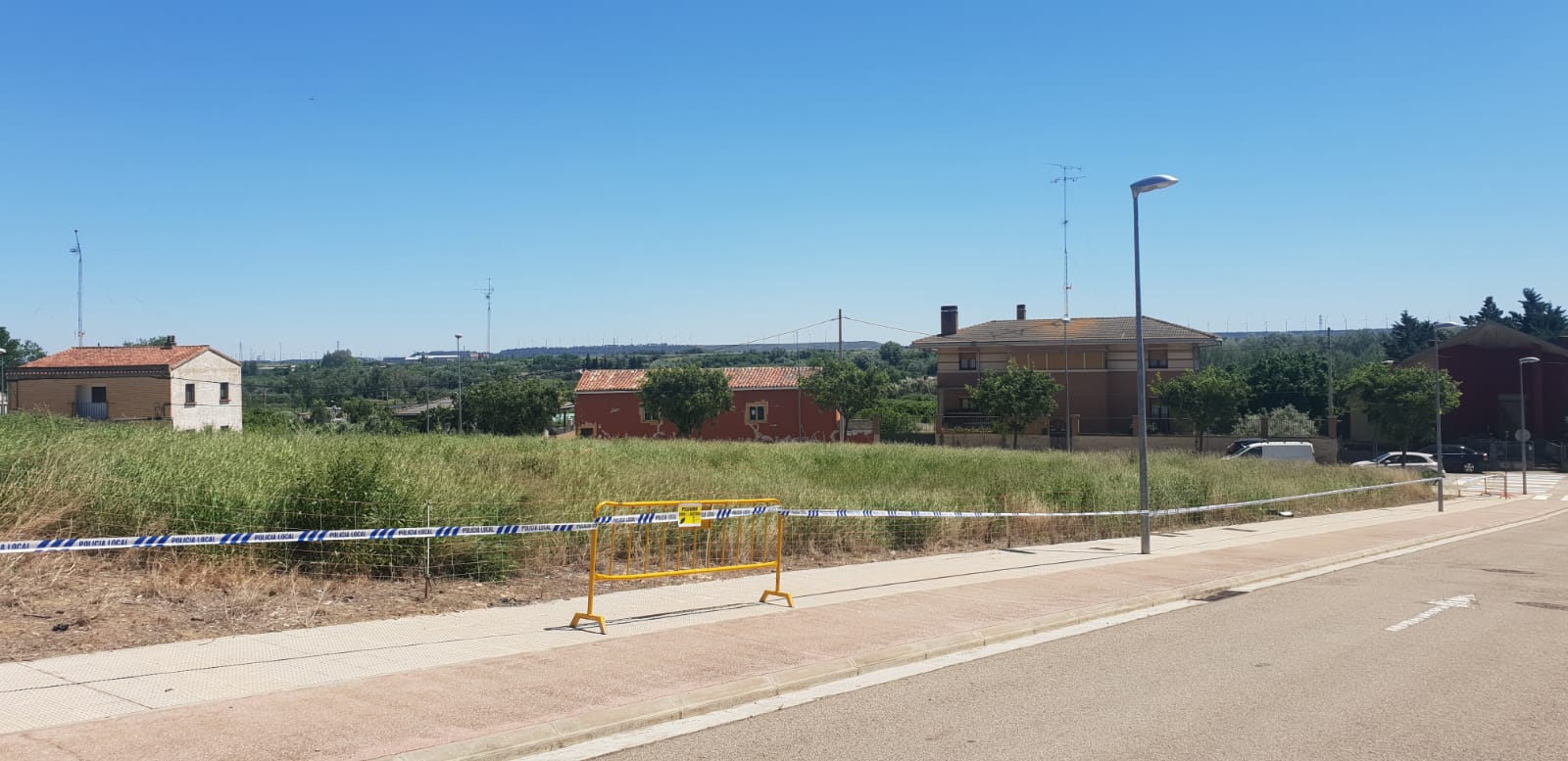 Cabras y ovejas eliminan las malas hierbas en Corella 1