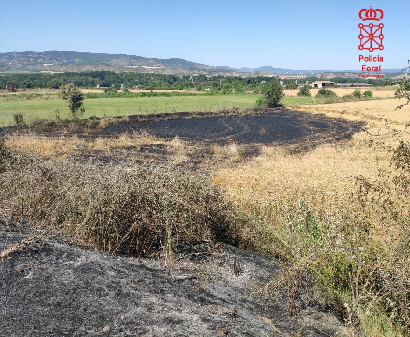 Incendio Carcastillo
