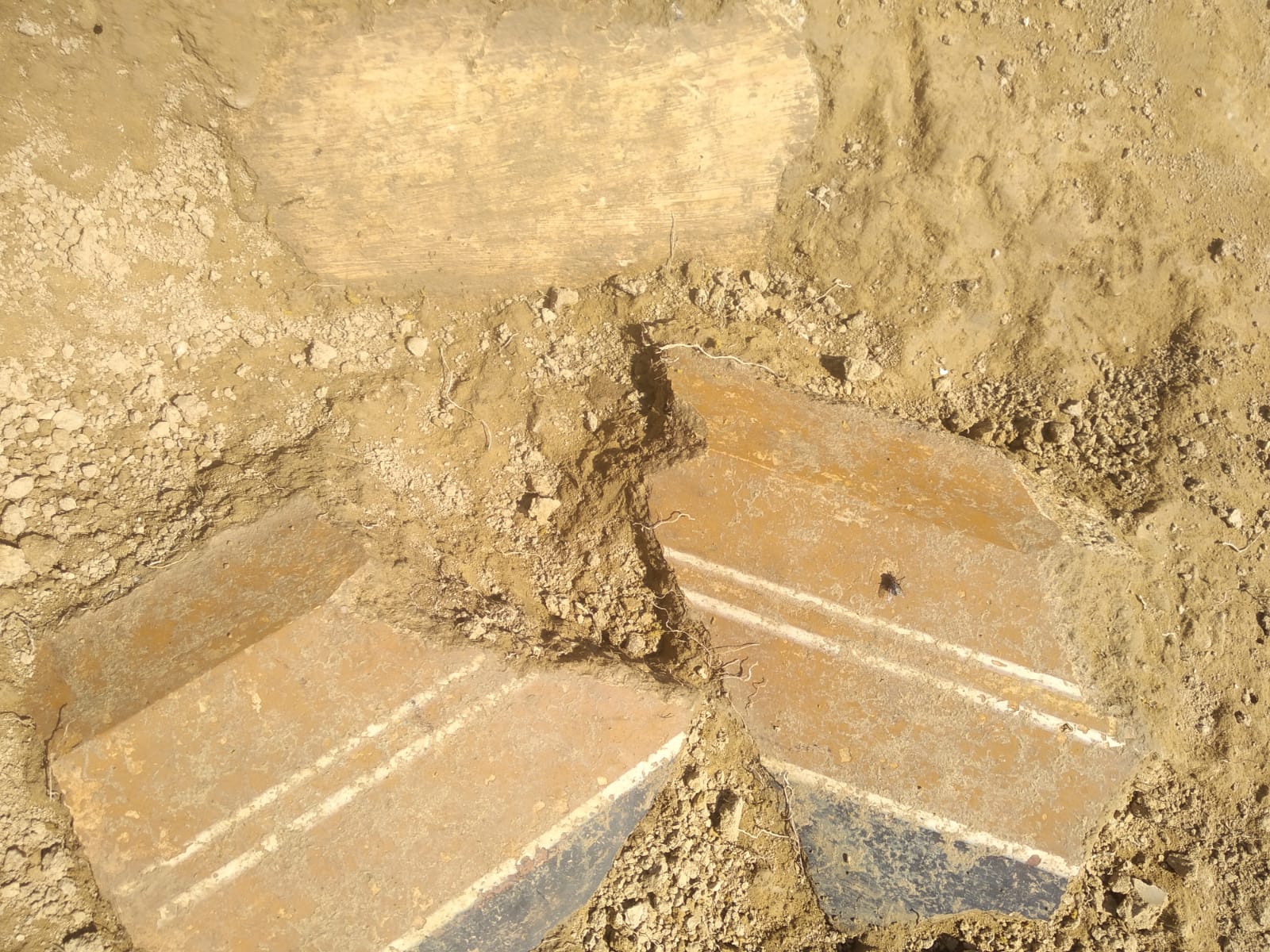 DETALLE PINTURAS ENCONTRADAS EN LOS BAÑALES