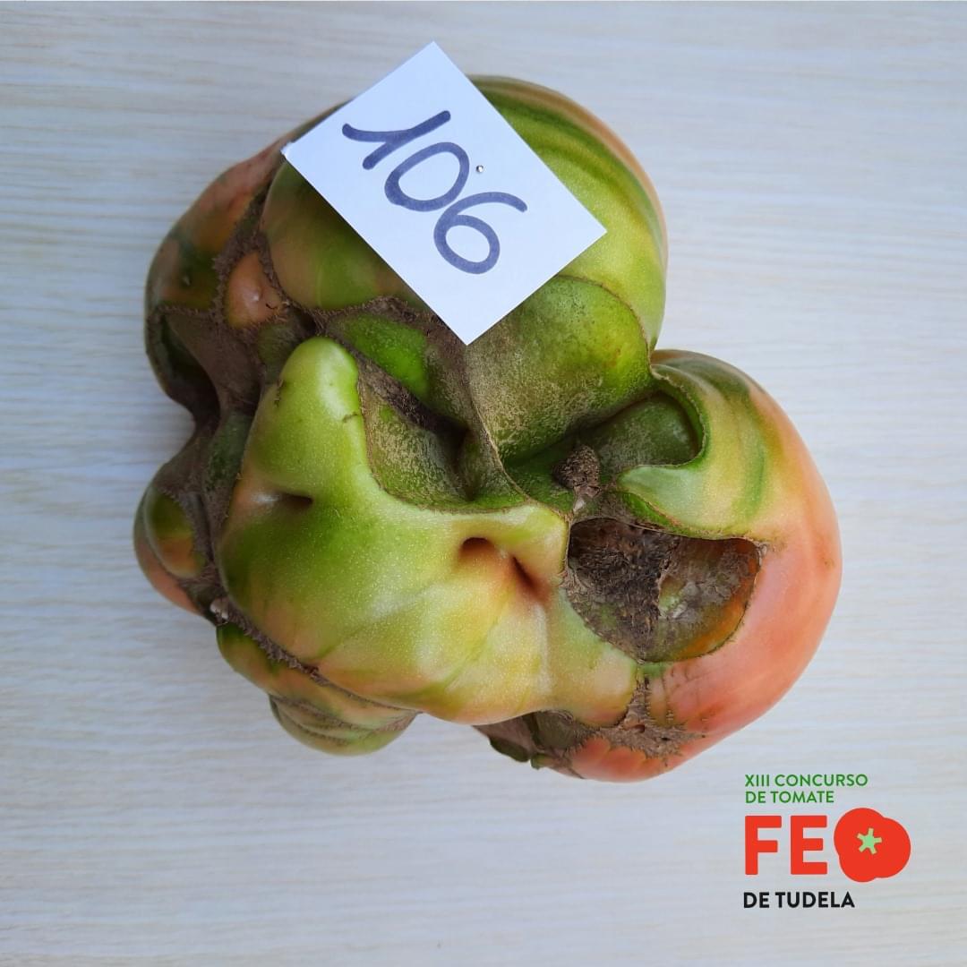 Tomate Feo de Tudela 2020
