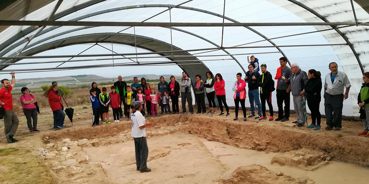 Visita a Excavación