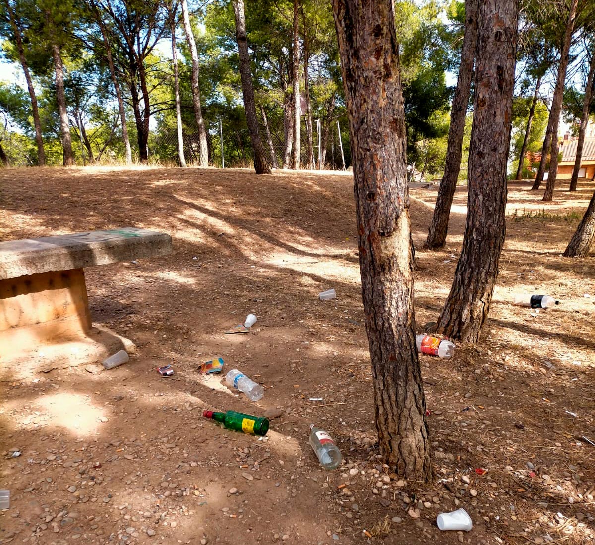 Zona canina vergonzosa en el parque del Monte San Julián 2