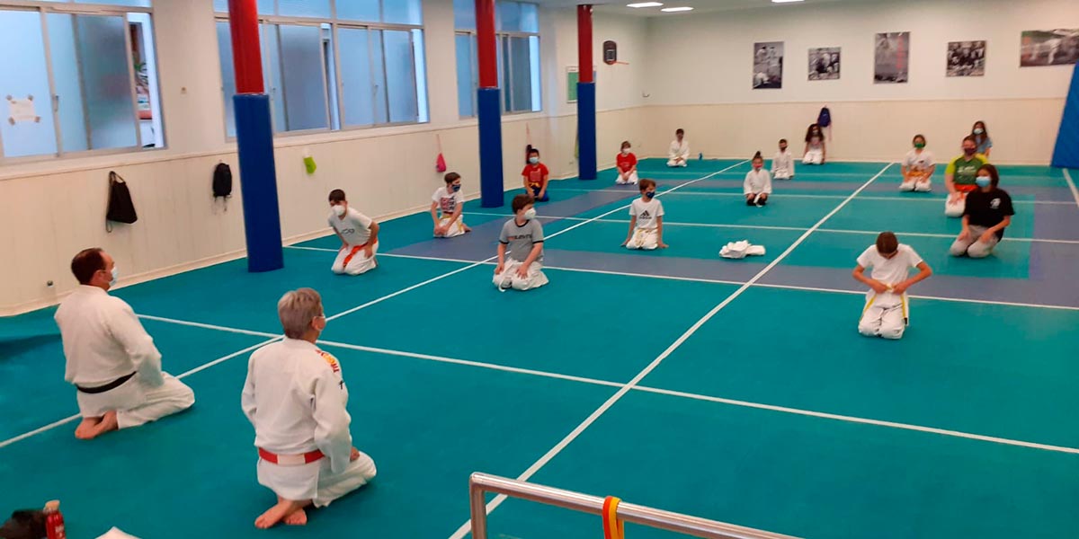Shogun, En judo hay 4 grupos y en defensa personal 2
