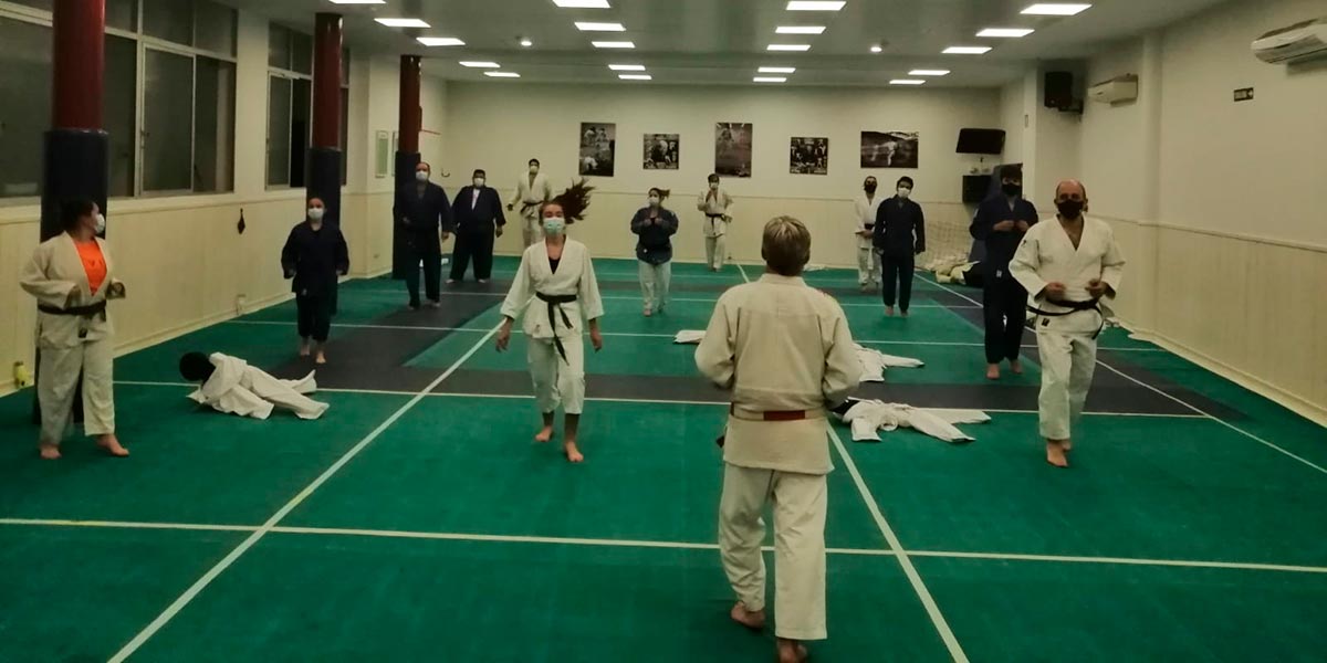 Shogun, Grupo judo adultos