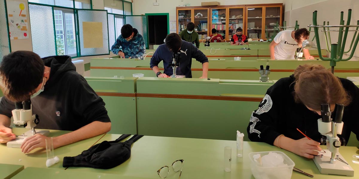 IES Benjamín Participación alumnado en proyecto Europeo Megaloblaster 4
