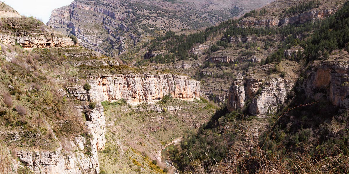 Asociación para el Desarrollo Rural de La Rioja Suroriental 3 Valles del Leza-Jubera