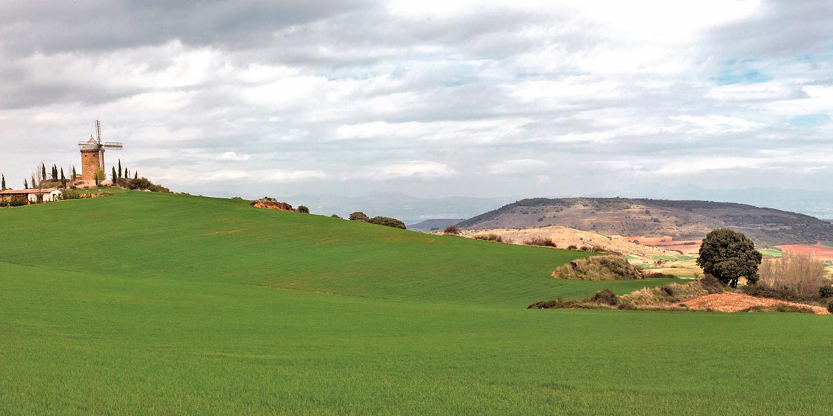 Asociación para el Desarrollo Rural de La Rioja Suroriental 4
