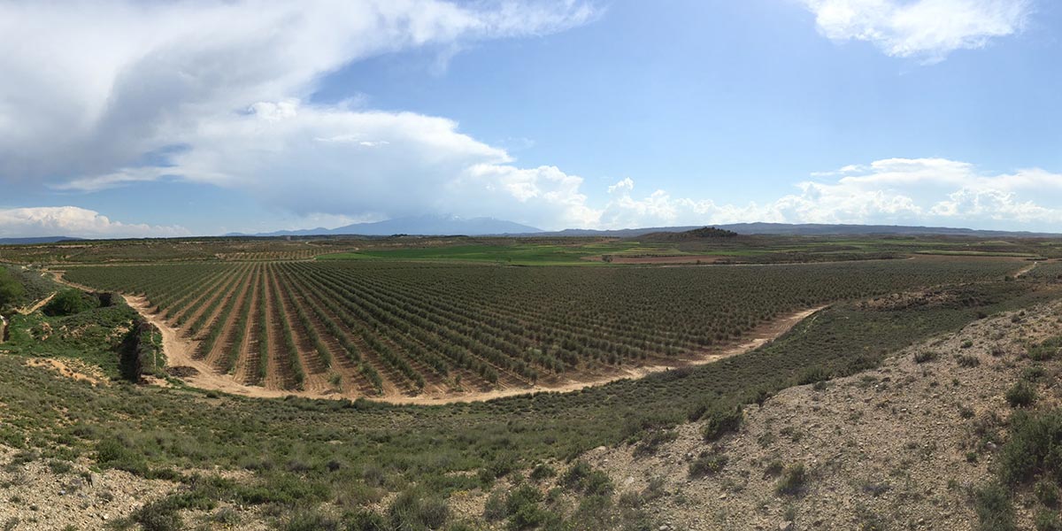 Foto panorámica de la Estanca