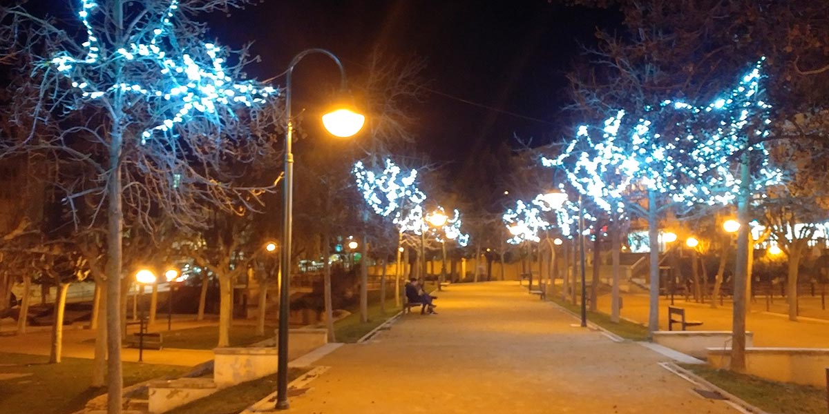 Encendido de las luces de Navidad 3