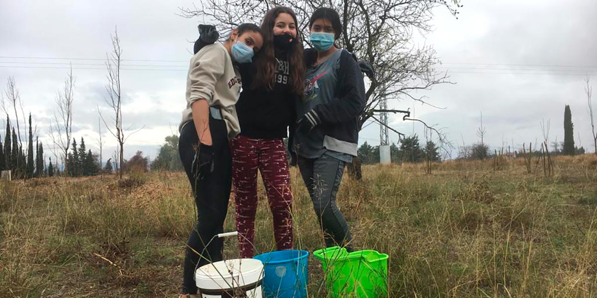 Nueva área arbolada en el Villar de Corella 3
