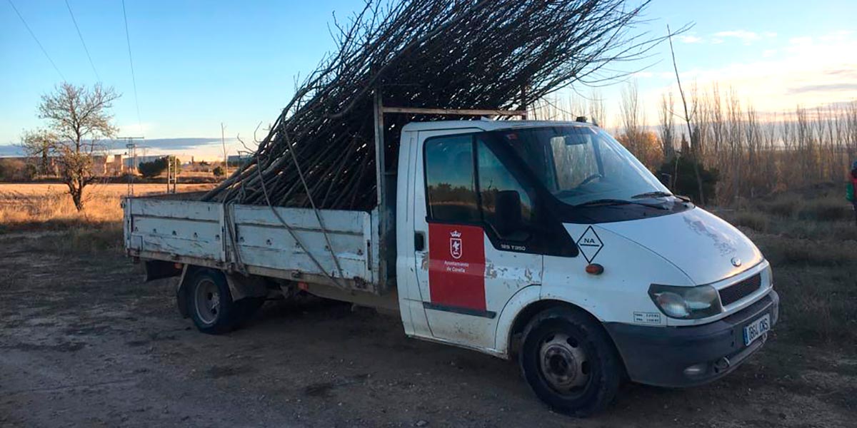 Nueva área arbolada en el Villar de Corella 4