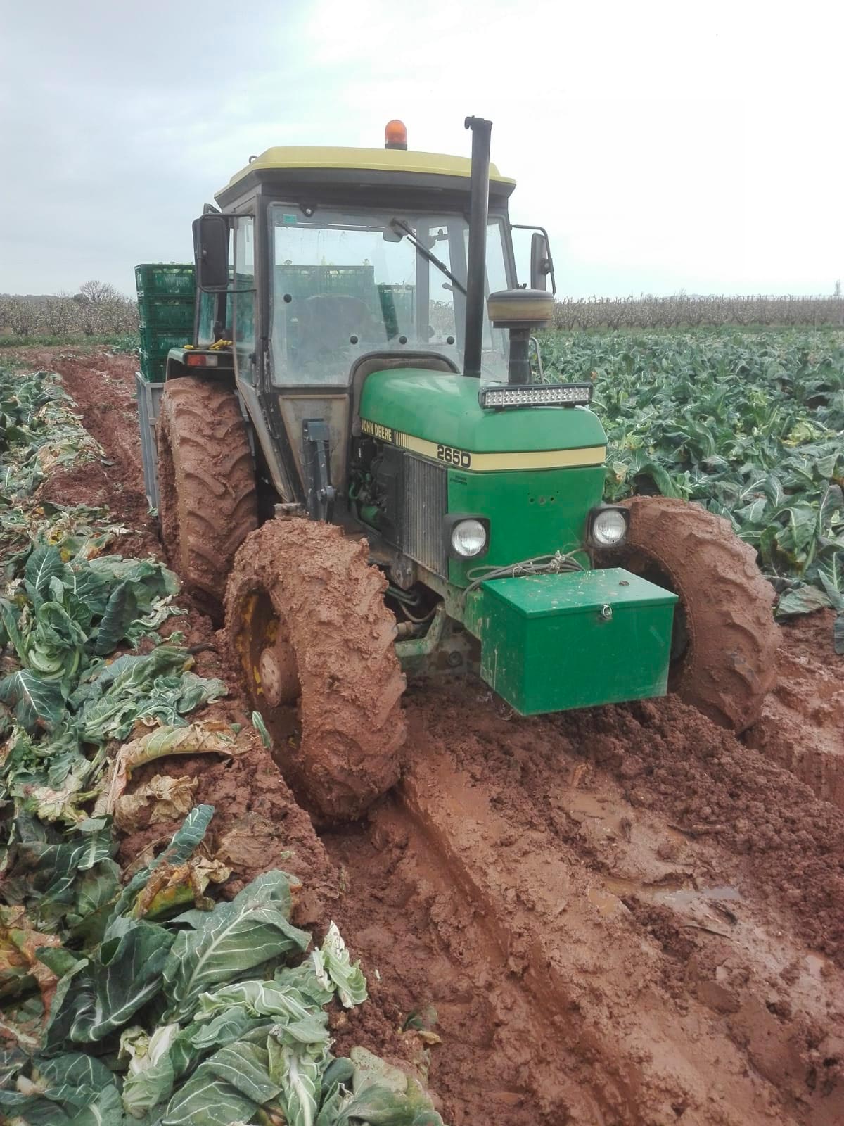 Agricultor rinconero de faena, en abril