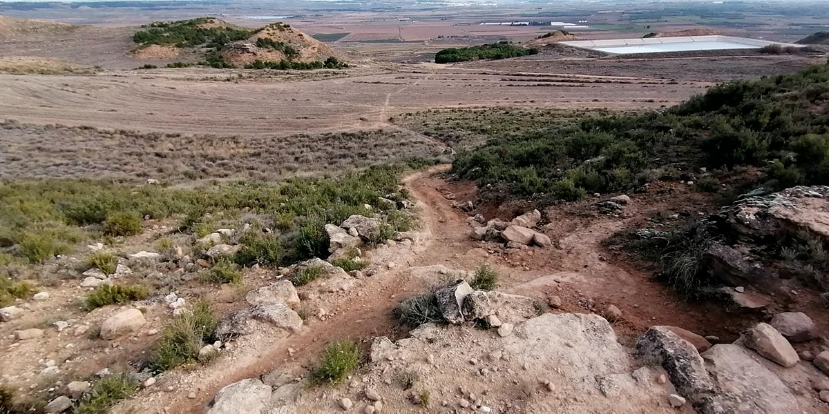 Monte Alto