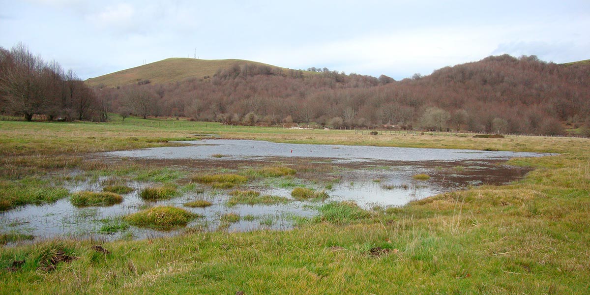 Turbera de Arxuri, en Baztan, un espacio protegido e incluido en la Red Natura 2000 1