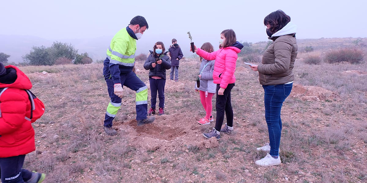 Escolares turiasonenses plantan 1.500 árboles 2