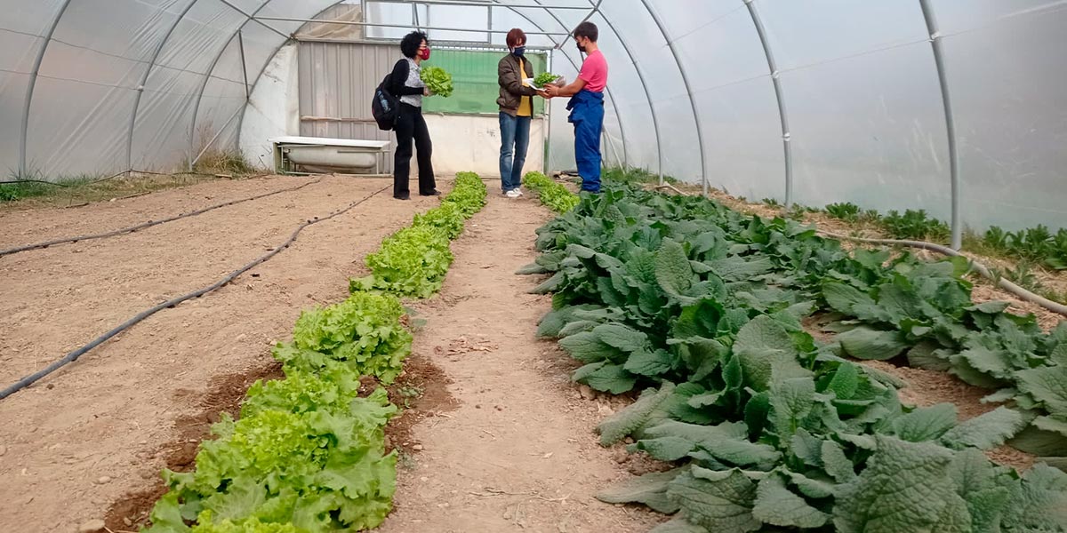 Los alumnos de La casa de la planta experimentan cómo será su trabajo en el futuro 2
