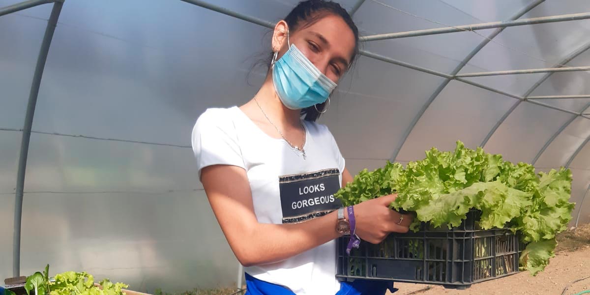 Los alumnos de La casa de la planta experimentan cómo será su trabajo en el futuro 1