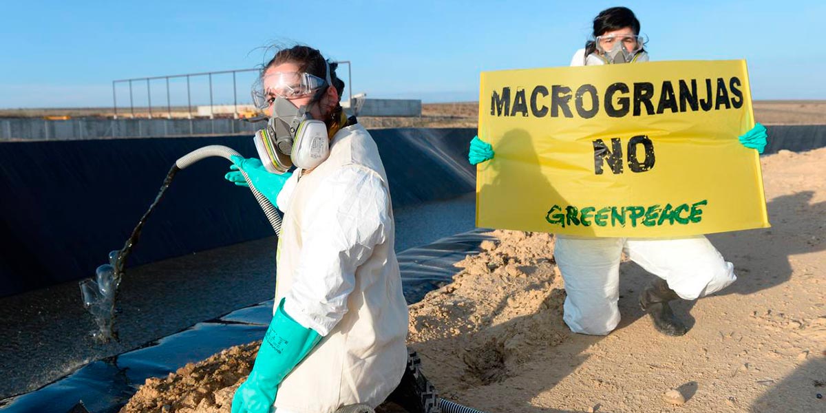 Greenpeace se desplazó a Caparroso para denunciar cómo la ganadería industrial está contaminando las aguas del medio rural 1